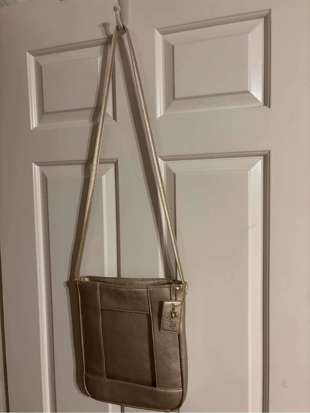 Turtle Bag. Rare and unique w/ inserts Crossbody Bag. Changeable patterns.
